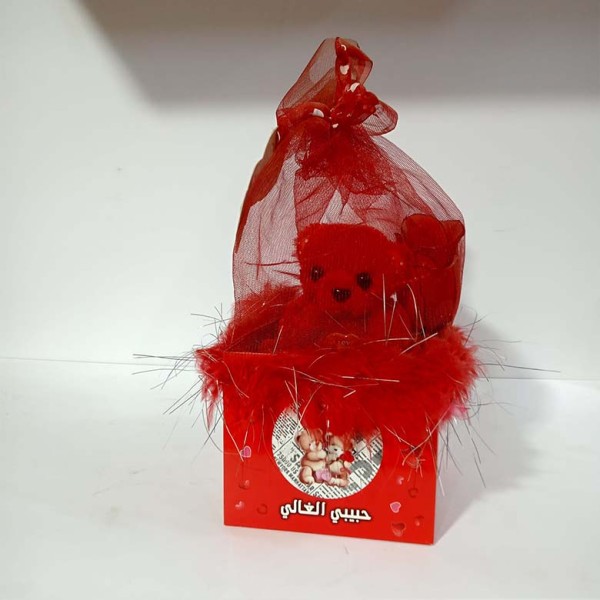 cadeau ours En Peluche rouge